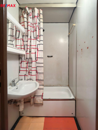REMAX Delux