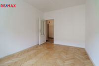 REMAX Delux