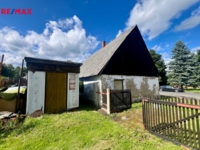 REMAX Delux