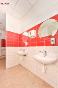 REMAX Delux
