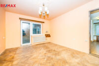 REMAX Delux