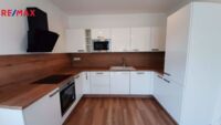 REMAX Delux