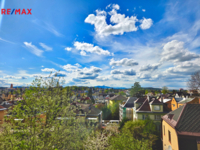 REMAX Delux