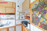 REMAX Delux