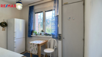 REMAX Delux