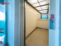 REMAX Delux