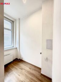 REMAX Delux