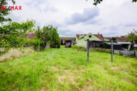 REMAX Delux