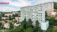 2863407.jpg