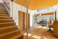 REMAX Delux