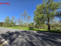 REMAX Delux