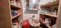 2951784.jpg
