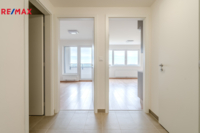 REMAX Delux