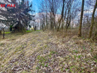 REMAX Brno