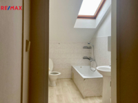 REMAX Delux