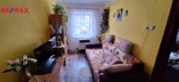 REMAX Delux