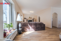 REMAX Delux