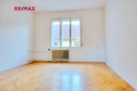 REMAX Delux