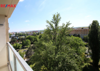 Realitní makléř Brno