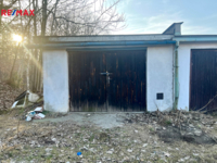 REMAX Delux
