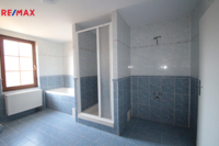 REMAX Delux