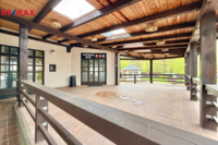 REMAX Delux