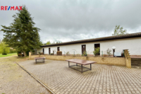 REMAX Delux