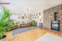 REMAX Delux