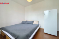 REMAX Delux