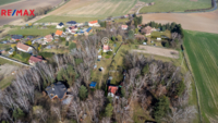 REMAX Delux