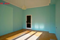 REMAX Delux