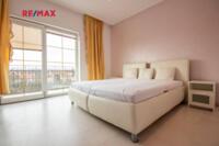 REMAX Delux