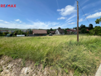 REMAX Delux