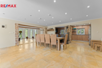 REMAX Delux