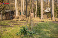 REMAX Delux