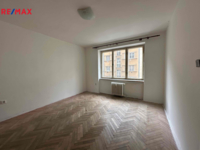 REMAX Delux