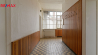 REMAX Delux