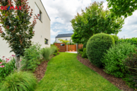 REMAX Delux