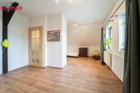 REMAX Delux