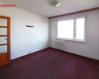 REMAX Delux