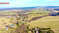 REMAX Delux