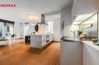 REMAX Delux