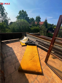 2631676.jpg