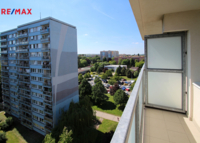 REMAX Delux