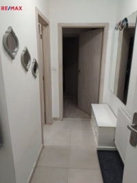 2931315.jpg