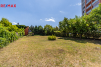 REMAX Delux