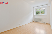 REMAX Delux