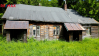 REMAX Delux