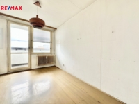 REMAX Delux