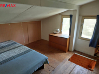 REMAX Delux
